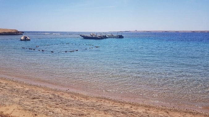 Sharm El Naga schnorcheln