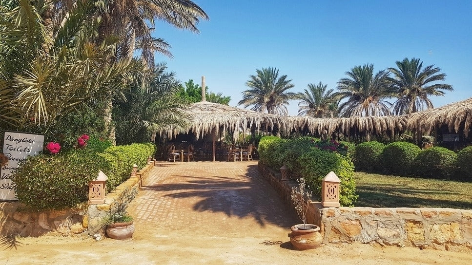 Sharm El Naga schnorcheln