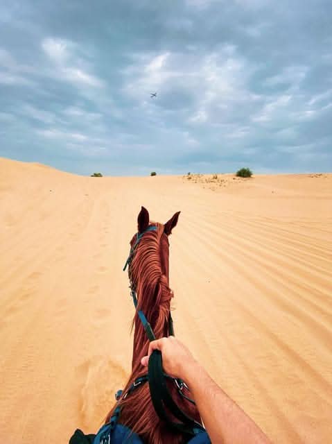 Kamel oder Pferdreiten - Travel & Fun Tours
