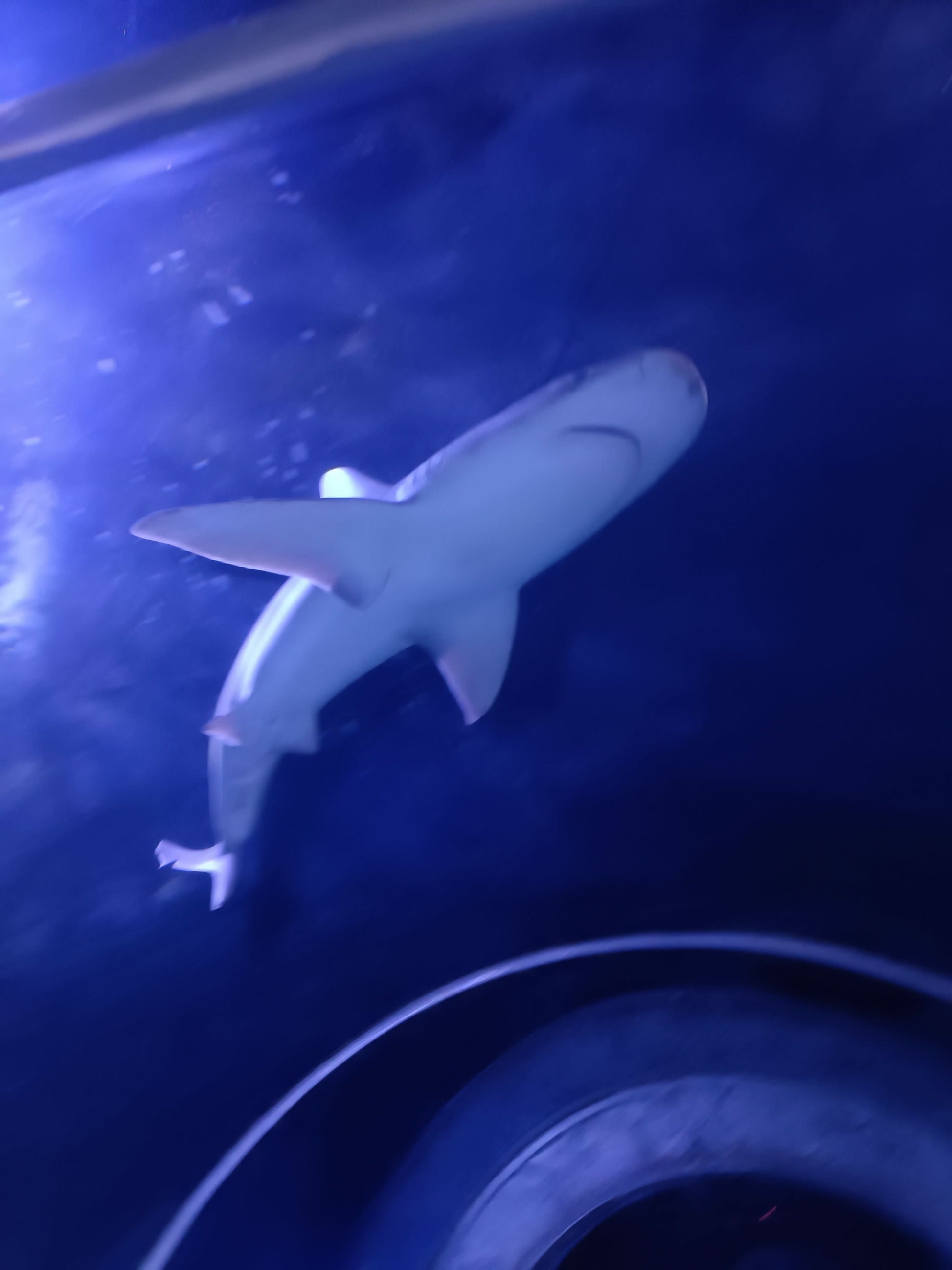Grand Aquarium Hurghada - Travel & Fun Tours