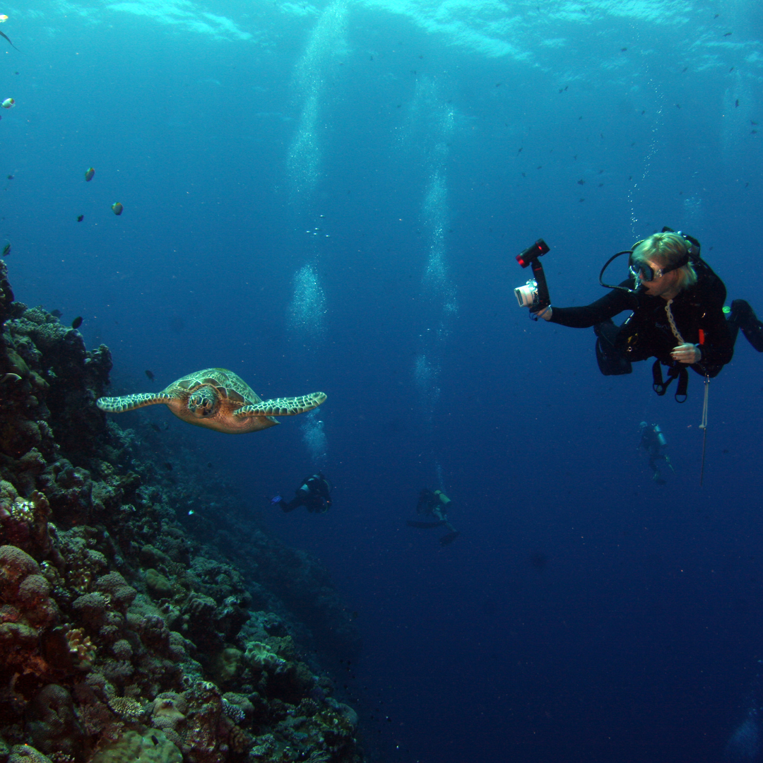 PADI Tieftauchen – Deep Diver