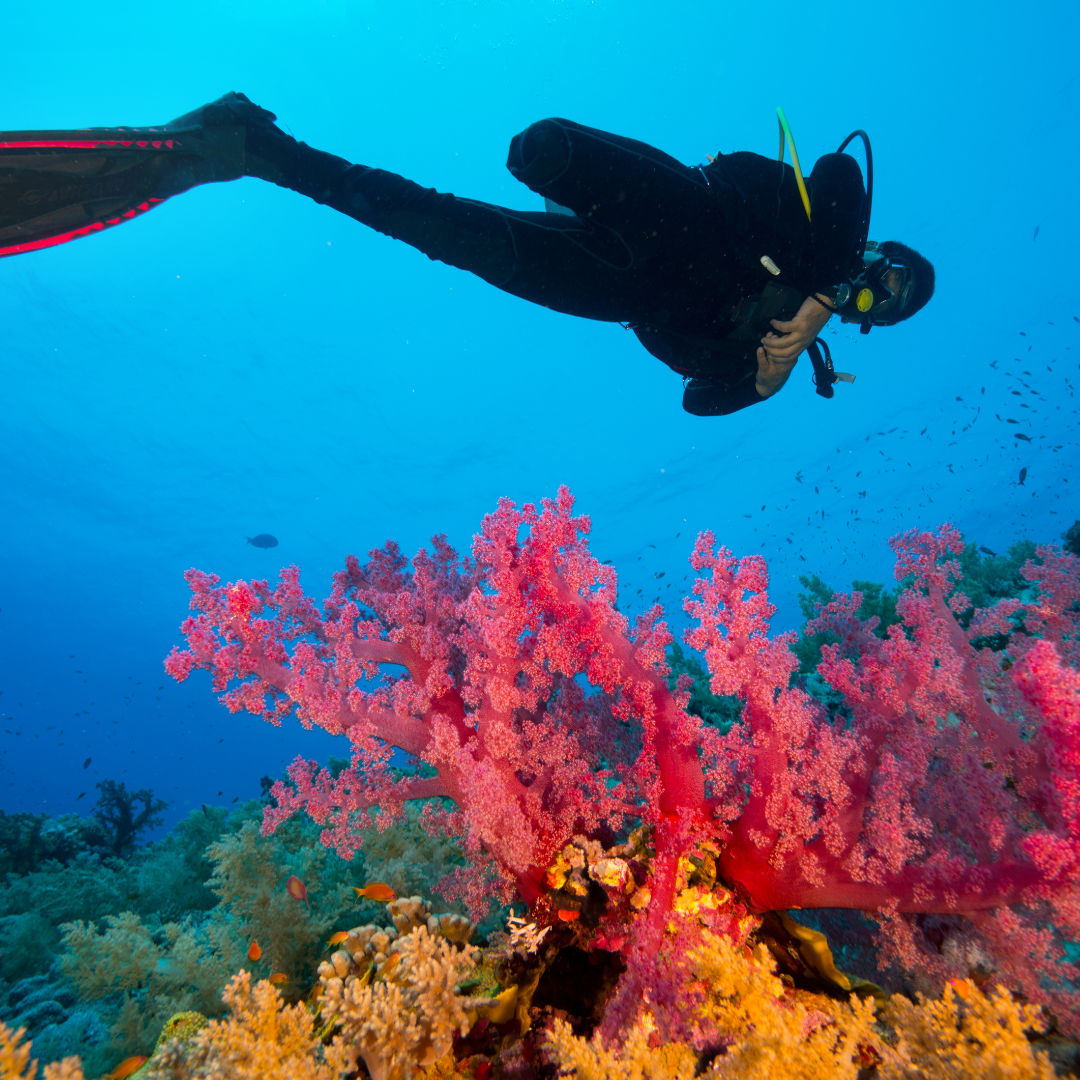 PADI Tieftauchen – Deep Diver