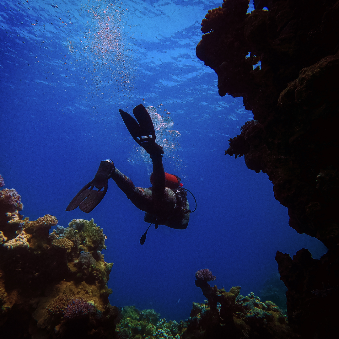 PADI Divemaster