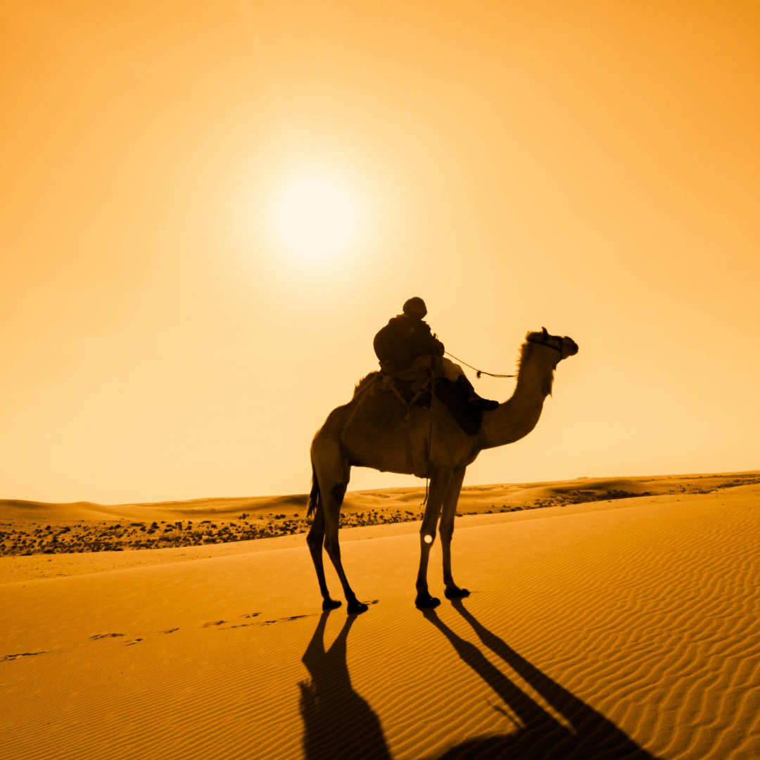 5 stündige Quadtour - Travel & Fun Tours