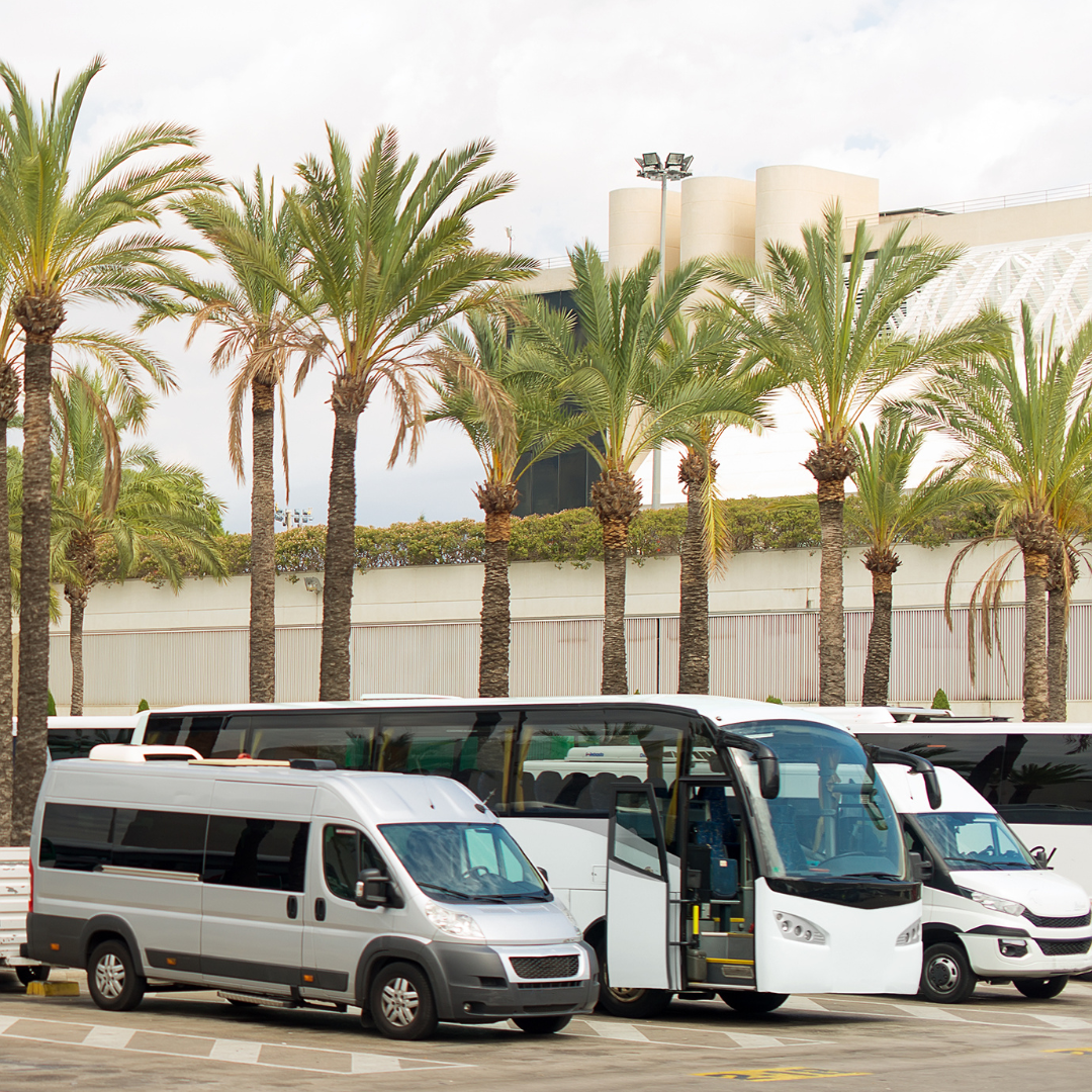 Transfer-Service in Hurghada - Travel & Fun Tours