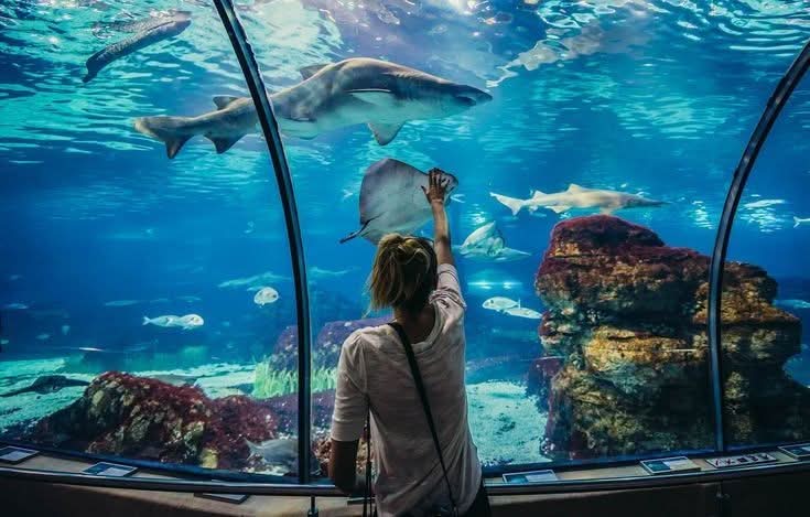 Grand Aquarium Hurghada - Travel & Fun Tours