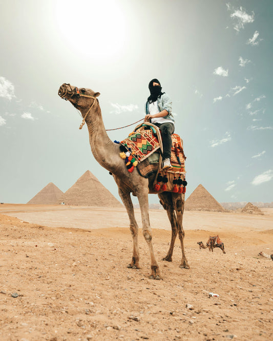 Kamel oder Pferdreiten - Travel & Fun Tours